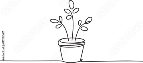 Minimalist line drawing of a potted plant with leaves botanical