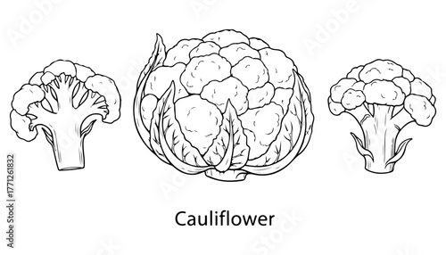 Detailed black and white illustration showcasing three cauliflower preparations, whole and cut.
