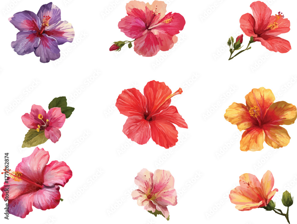 Fototapeta premium set of flowers isolated