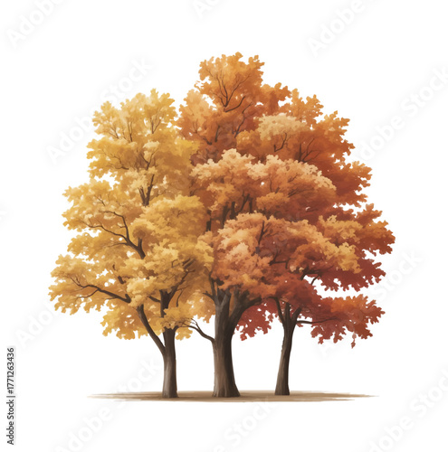 Autumn Tree Illustration — Fall Season Nature Landscape Vector