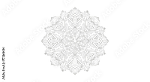 Intricate floral mandala pattern with detailed petal designs, perfect for meditation or coloring