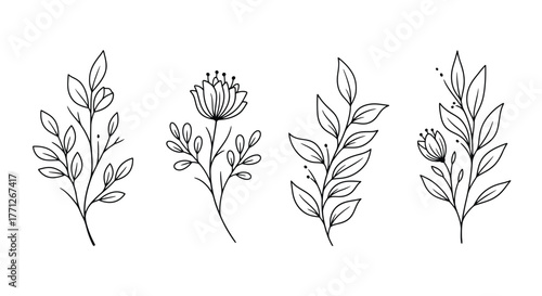 Delicate botanical line art featuring various floral and leafy elements