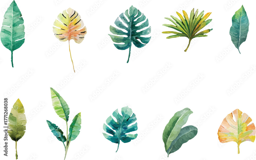 Obraz premium set of autumn leaves