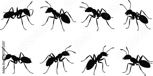 Black ant silhouette collection, insect vector design, pest control illustration, wildlife insect drawing, ant colony graphic, cad drawing flat vector illustration