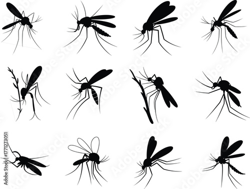 Mosquito silhouette set, insect vector collection, pest control symbol, malaria carrier illustration, black mosquito icon design, cad drawing flat vector illustration