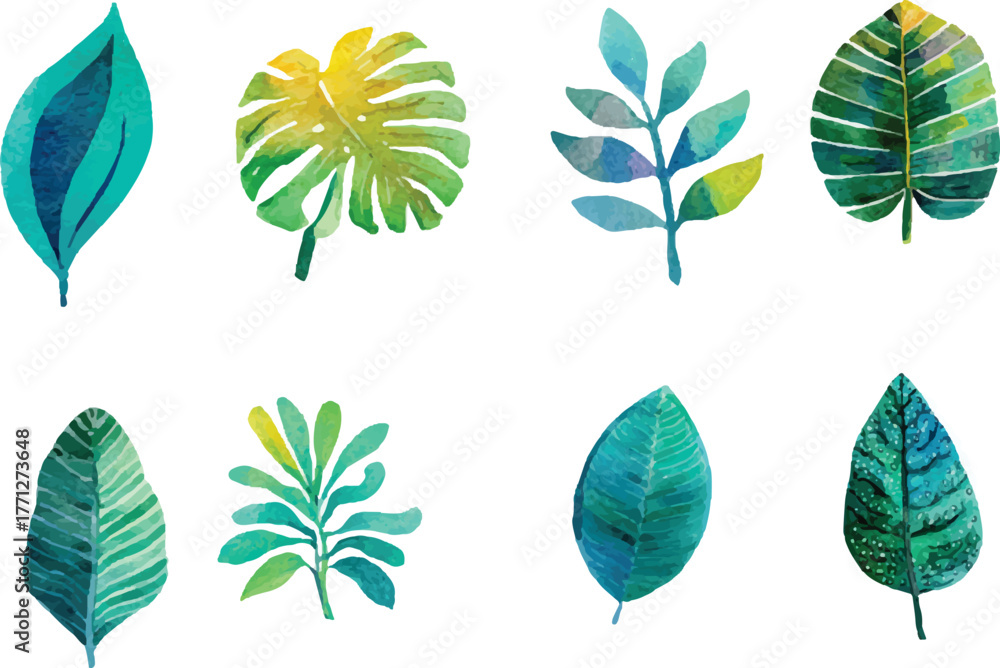 Obraz premium vector set of leaves