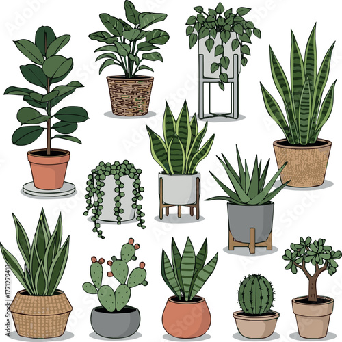  Make Potted house plants composition. Home and office interior houseplants. Modern green leaf, succulent, cactus decoration in planters, flowerpots. Flat vector illustration isolated on white 