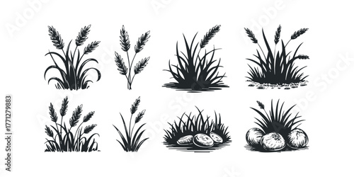 Six black ink drawings of grasses and round objects
