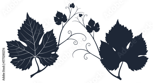 Stylized dark blue grape leaves and curling tendrils create an elegant, nature-inspired design element.