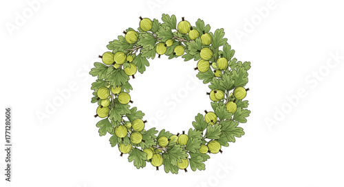 A vibrant, hand-drawn illustration of a circular gooseberry wreath, adorned with green leaves and ripe berries, against a clean white background.