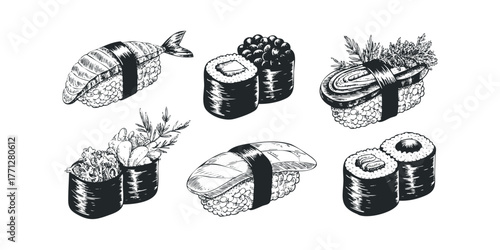 Hand Drawn Sushi and Rolls Collection