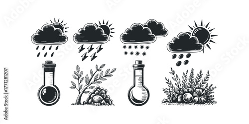 Hand Drawn Weather Icons and Botanical Sketches