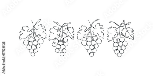 Four bunches of grapes with leaves in a single line style