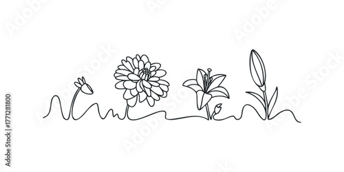 Continuous Line Drawing of Growing Flowers
