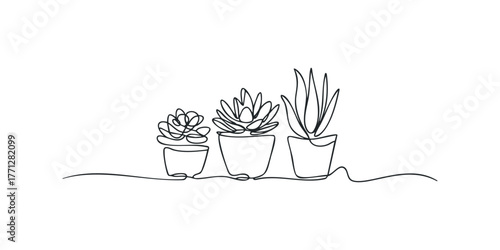 Three potted succulents depicted in single line drawing
