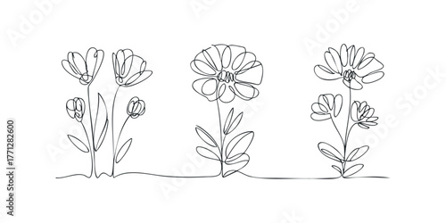 Continuous Line Drawing of Three Blooming Flowers