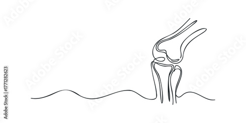 Continuous line drawing of human knee joint structure