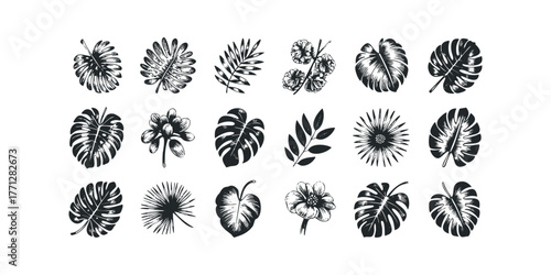 Collection of Tropical Leaf and Flower Silhouettes