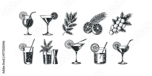 Collection of Hand Drawn Cocktails and Bar Garnishes