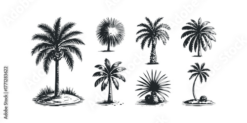 Collection of Tropical Palm Trees in Silhouette Style