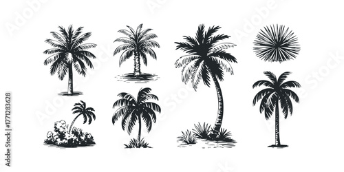 Collection of stylized palm tree illustrations