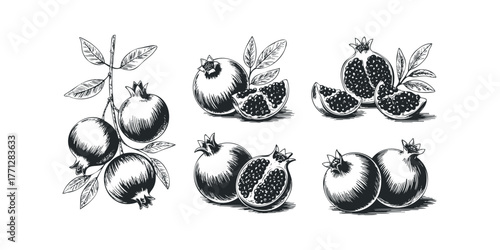 Hand drawn pomegranate fruit collection with leaves