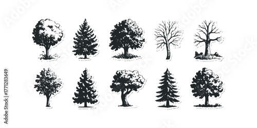 Collection of varied trees silhouetted against white background