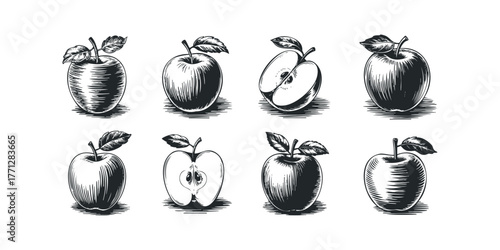 Set of woodcut apples and half apples with leaves