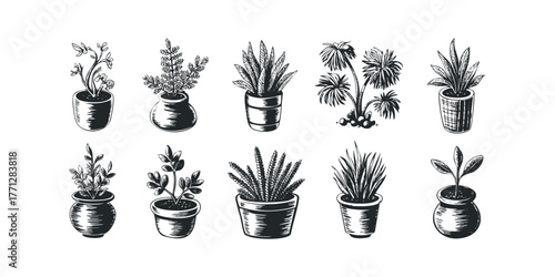 Collection of ten potted plant drawings in black and white