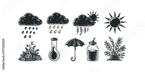Weather icons with sun, clouds, rain, lightning, and plants