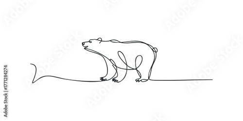 Single line drawing of a polar bear walking