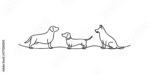 Three Dogs of Different Breeds Together