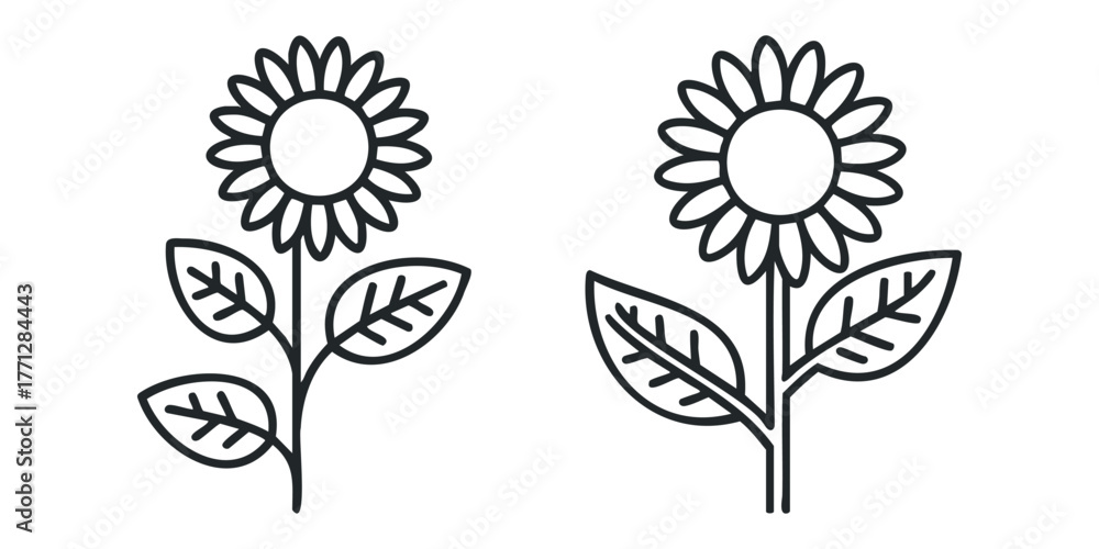 Naklejka premium Two stylized sunflowers in outline form