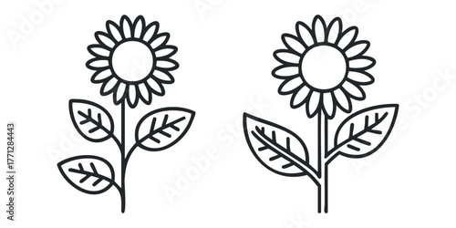 Two stylized sunflowers in outline form