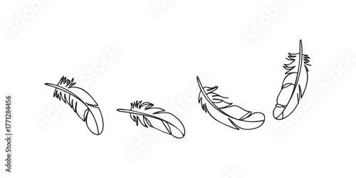 Four sketched bird feathers isolated on white background