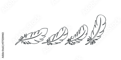 Four sketched feathers in a row