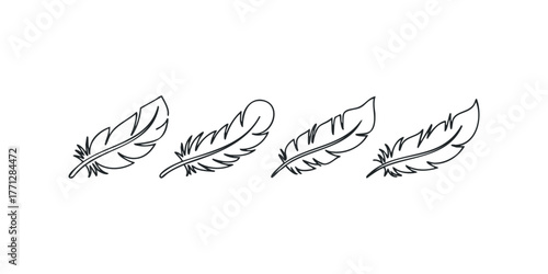 Four hand drawn feather outlines arranged horizontally