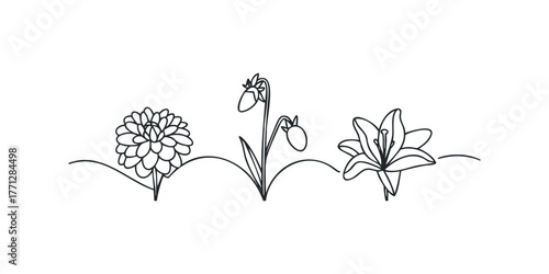 Outline drawings of three distinct blooming flowers and buds