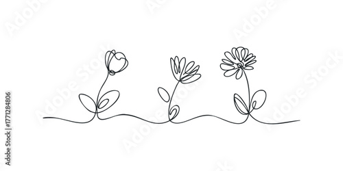 Three continuous line drawing flowers with leaves