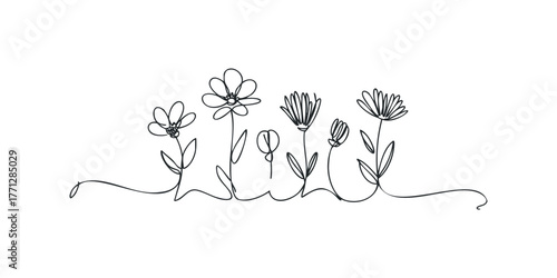 Minimalist continuous line drawing of diverse flowers