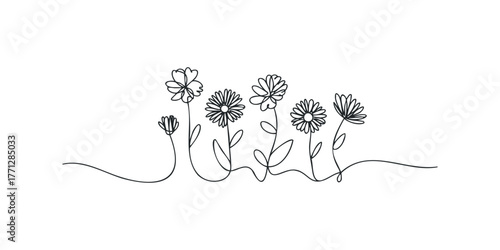 Simple line drawing of varied daisies on stems