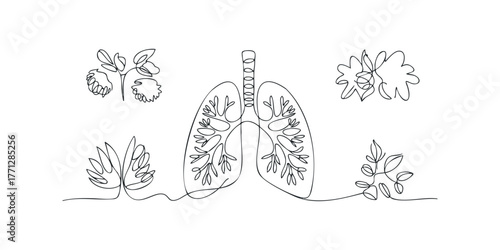 Continuous line drawing of human lungs with surrounding organic shapes