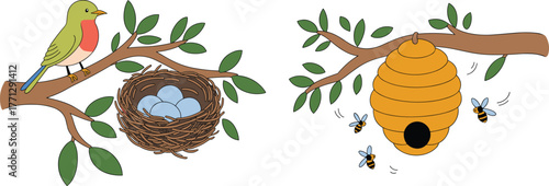 Bird nest with blue eggs, perched bird, beehive with bees, nature wildlife scene, tree branches, animal homes, forest background