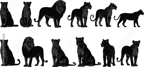 Big cat silhouette vector set, black wildlife icons, lion leopard panther poses, animal anatomy illustration, jungle predator artwork, nature theme