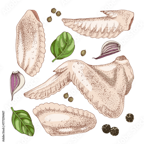 Raw chicken wings meat food vector.