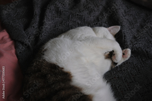 a cat sleeping on a knitted blanket, with his paws covering his eyes