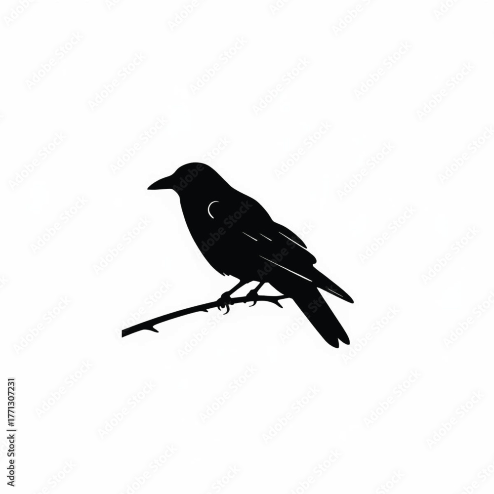 Fototapeta premium Black silhouette of a crow perched on a branch with a crescent moon detail