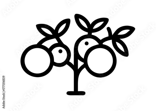 Orange Fruit Tree Icon Vector
