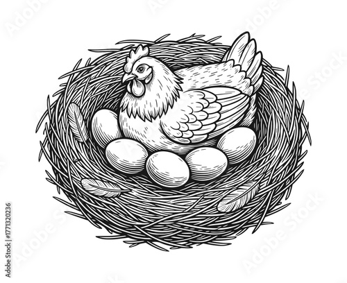 Hen on nest with eggs in line art style in black and white
