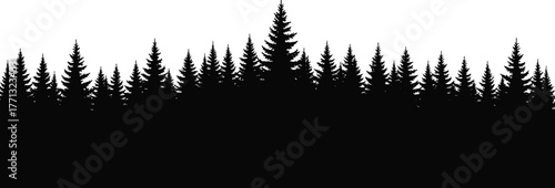 Symmetrical pine forest silhouette, black and white nature vector art, coniferous tree landscape with central peak and jagged skyline